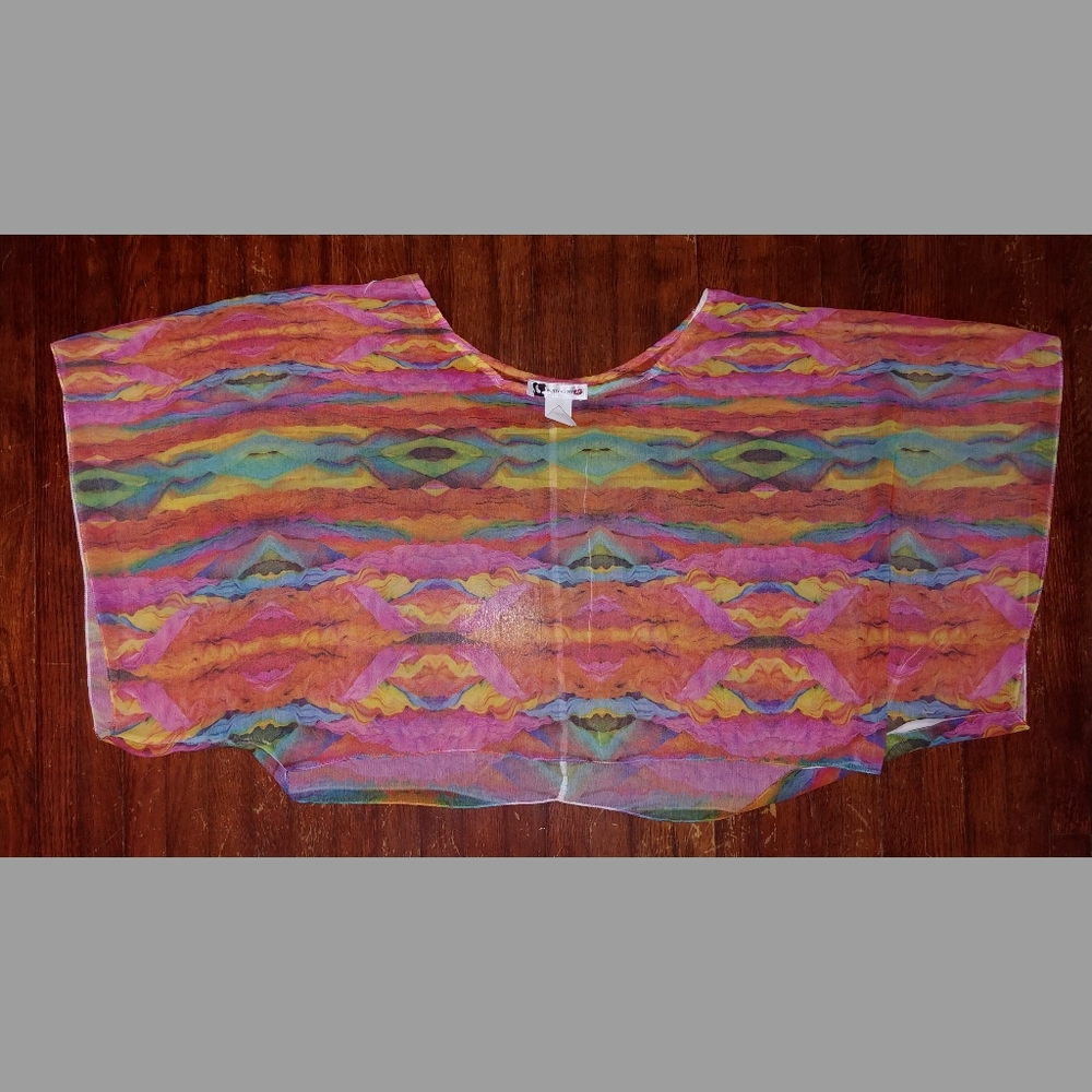 Body Central Y2K sheer rainbow batwing crop top Blouse